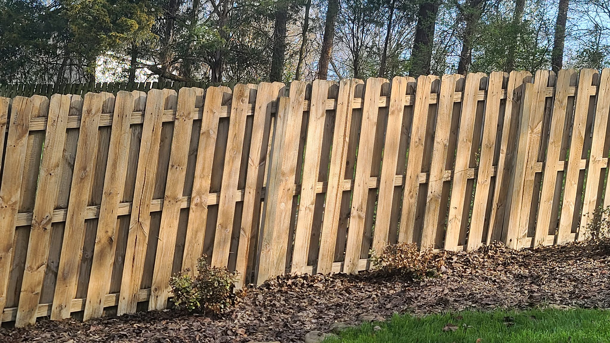 Weathered wood shadowbox privacy fence in a residential backyard